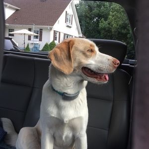 Meet your Posher, Don